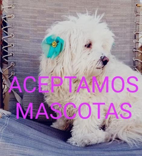 Canela Apartment, Pet Friendly Puerto Peñasco Exteriör bild